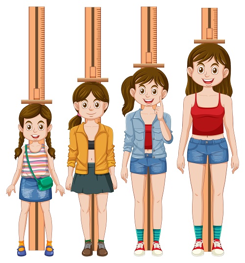 Illustration showing a girl growing over time, with height markers next to her at different ages, from childhood to adolescence.