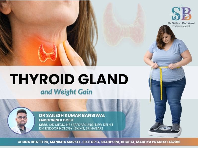Woman with thyroid gland illustration and weight gain symptoms showing thyroid disorder and obesity, explained by thyroid specialist in Bhopal Dr. Sailesh Kumar Bansiwal